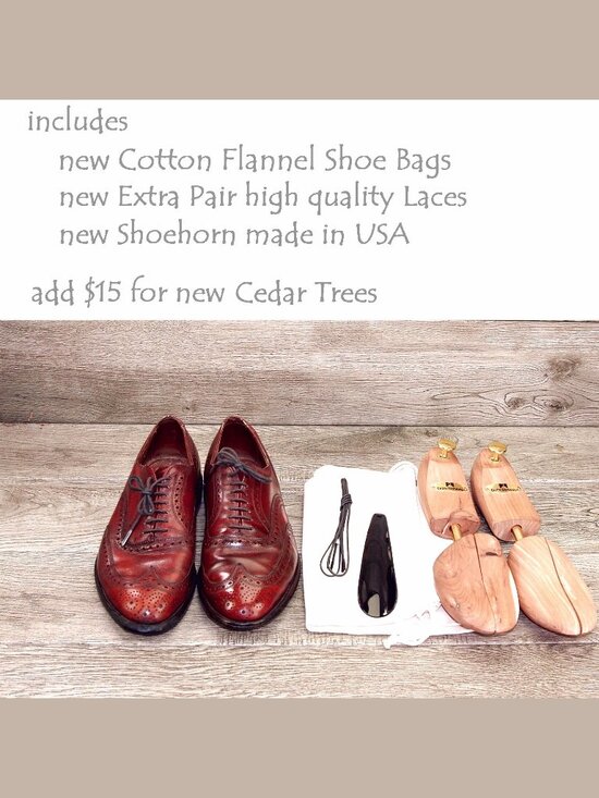 Allen Edmonds LLOYD Wingtip Oxford 9.5 D Oxblood * add $15 new Trees main image 13
